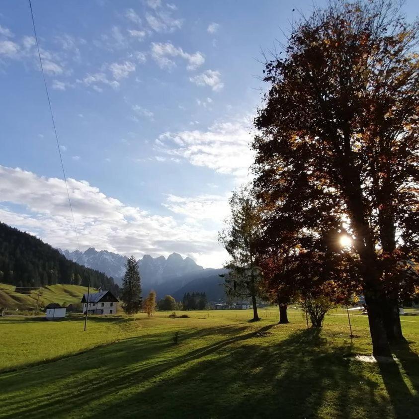 Haus Gruenwald Apartment Gosau Exterior foto